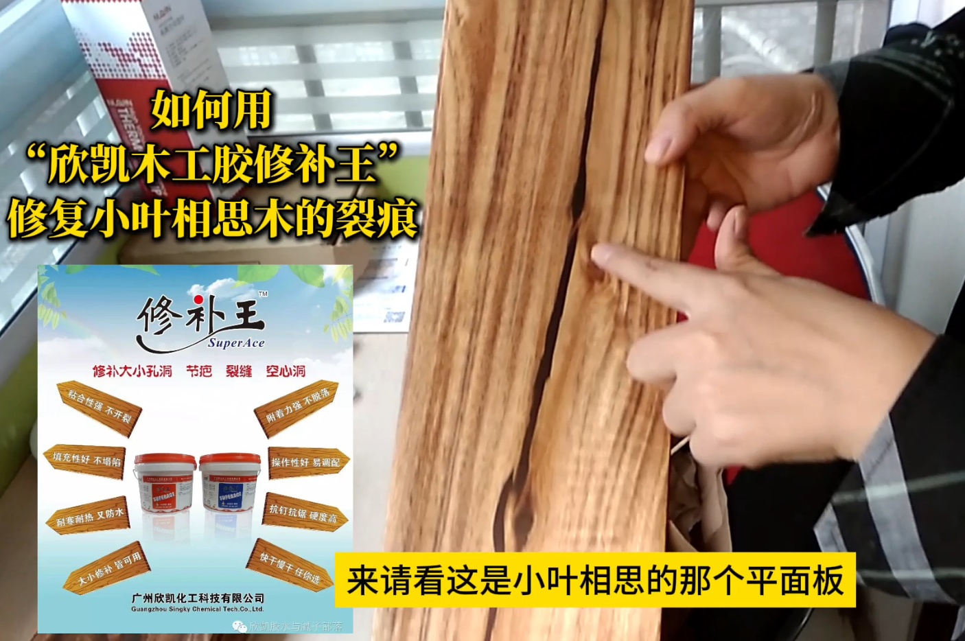 如何用“欣凱木工膠修補王”，修復小葉相思木的裂痕？