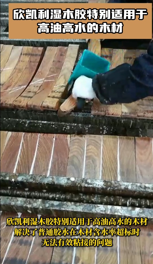 欣凱利濕木膠是一種高性能、高適應性的膠粘劑