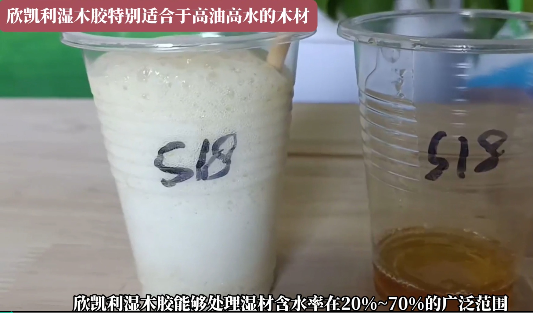 欣凱利濕木膠特別適合于高油高水的木材，快干、快固化