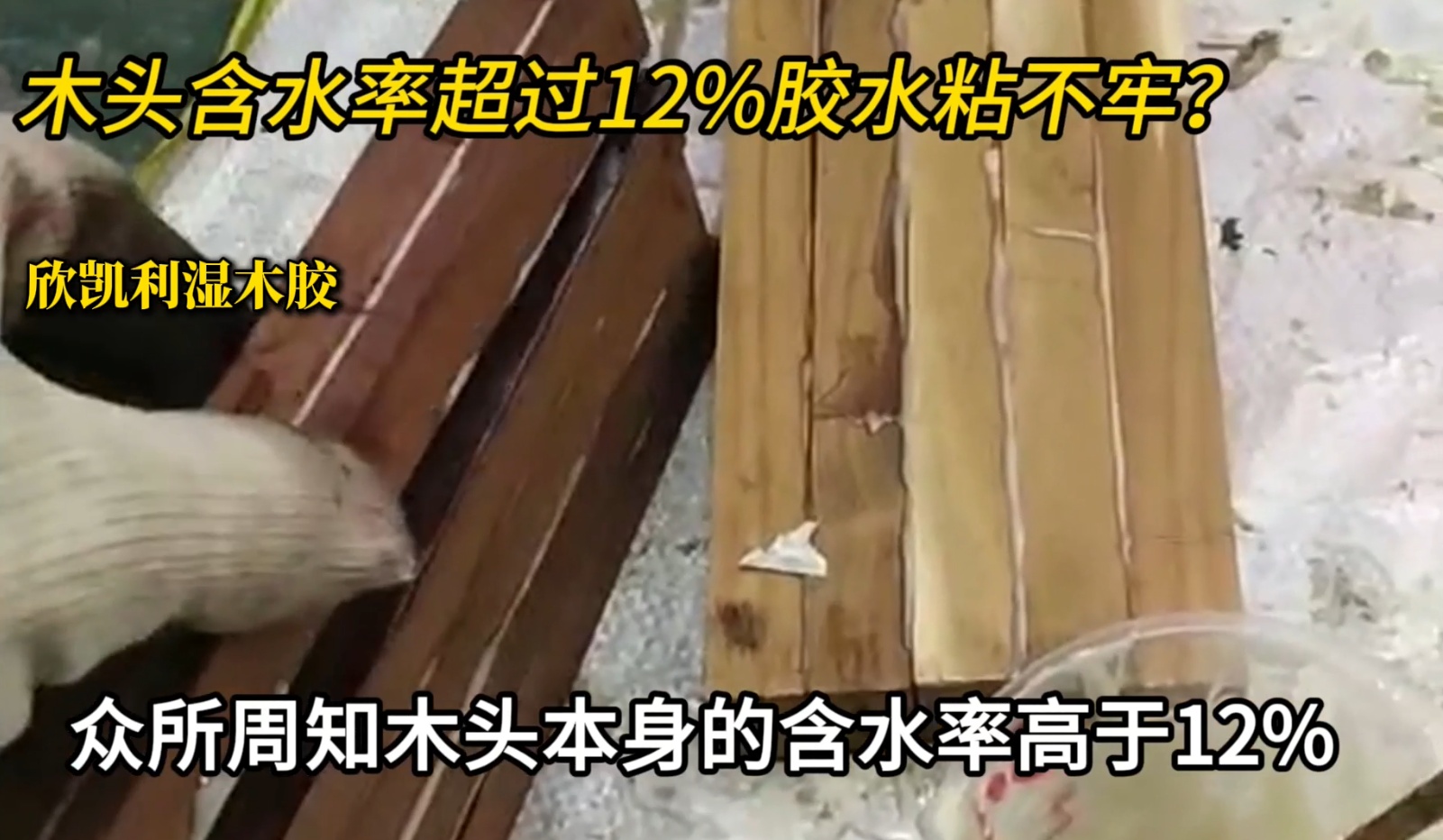 欣凱利濕木膠可用于：橡木、胡桃木、楓木、櫻桃木松木、杉木等木種
