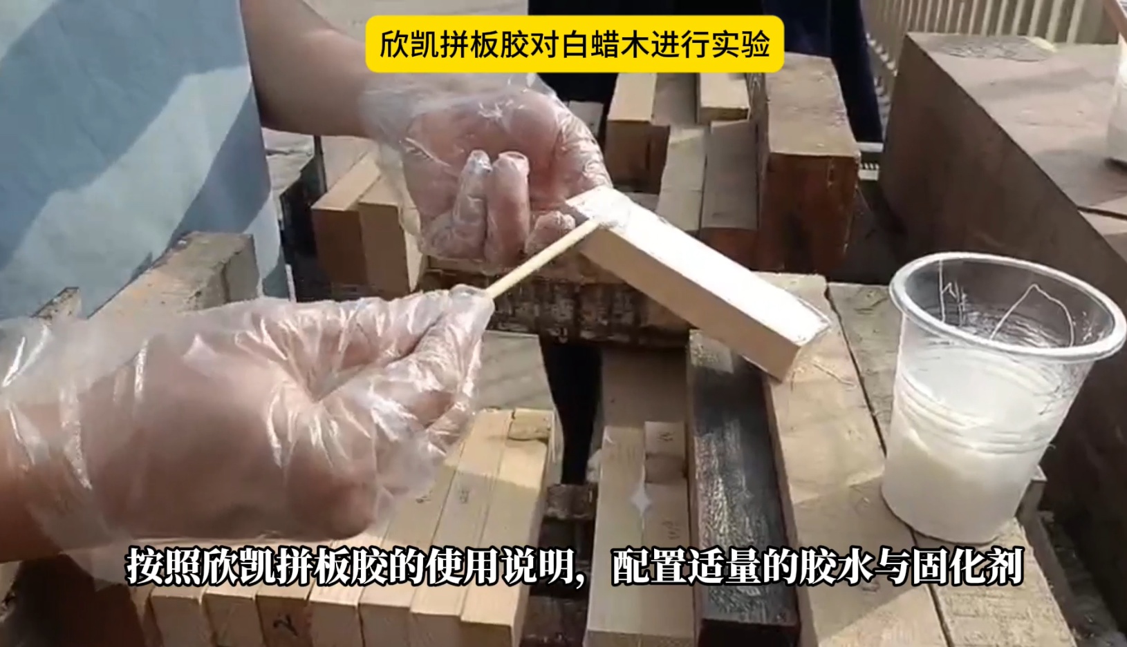 欣凱利拼板膠對白蠟木進行實驗