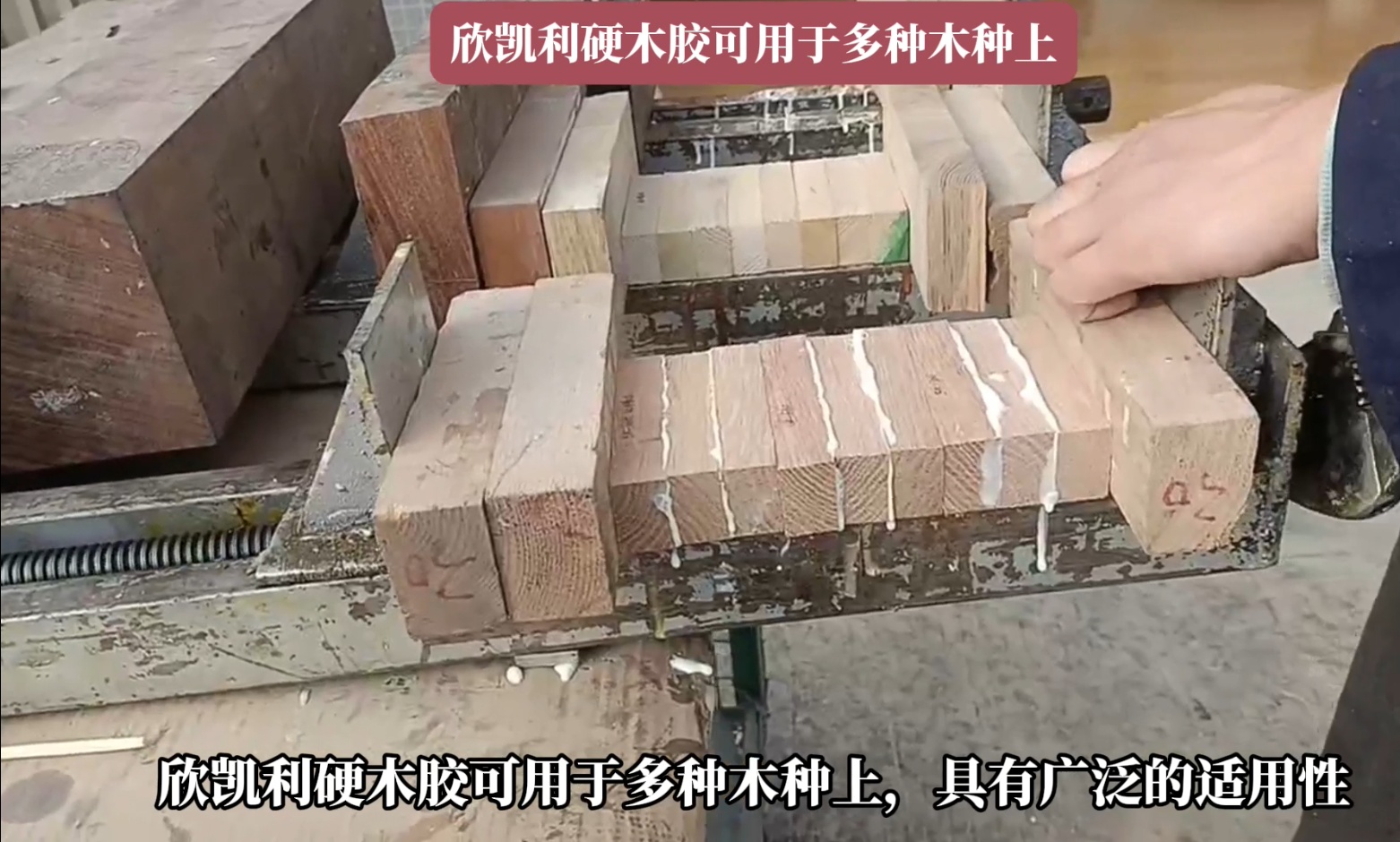 欣凱利硬木膠能夠深入木材裂縫和孔洞，形成牢固的粘接層
